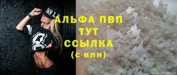 спиды Белокуриха