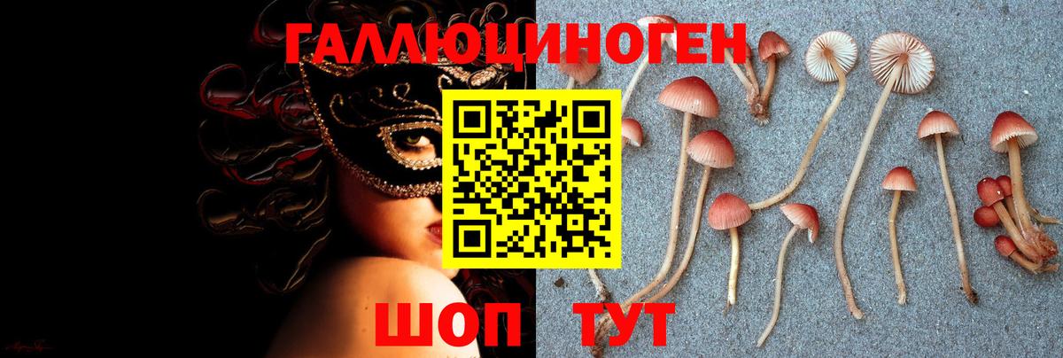 Псилоцибиновые грибы Magic Shrooms  Псилоцибиновые грибы Psilocybine cubensis  Вязники  Вход с VPN 